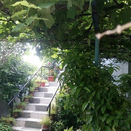 Свети Никола Otel Sinemoretz Dış mekan fotoğraf